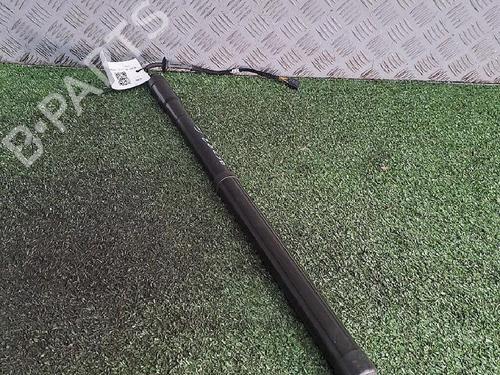 tailgate-lift-support-land-rover-range-rover-evoque-l538-2011-2012-2013-2014-2015-2016-2017-2018-2019-30077536 main image