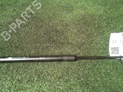 Used Tailgate lift support Tailgate lift support PEUGEOT 207 SW (WK_) 1.6 HDi (92 hp) 30076123 30076123