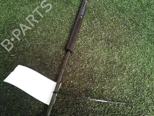 Gassdemper Bakluke CITROËN C3 I (FC_, FN_) 1.4 i | BP29953295C138
