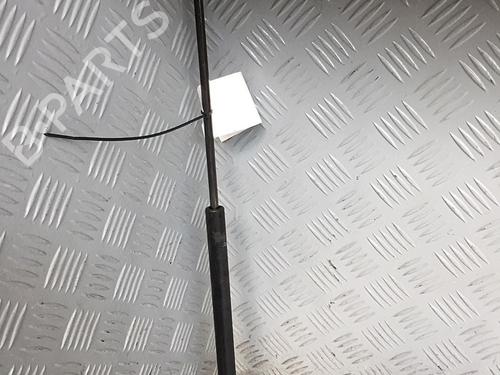 Tailgate lift support PEUGEOT 309 II (3C, 3A) 1.9 Diesel | BP30068966C138