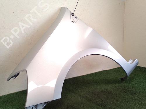 Left front fenders RENAULT CLIO III (BR0/1, CR0/1) 1.2 16V (BR02, BR0J, BR11, CR02, CR0J, CR11) | BP29948957C41