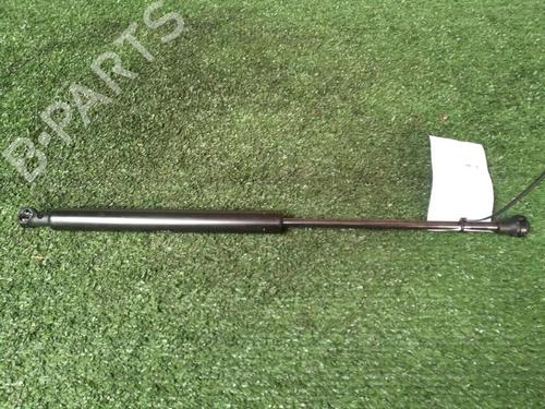 Tailgate lift support RENAULT CLIO II (BB_, CB_) 1.2 (BB0A, BB0F, BB10, BB1K, BB28, BB2D, BB2H, CB0A,... | BP30074115C138