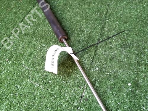 Tailgate lift support CITROËN BERLINGO MULTISPACE (B9) 1.6 HDi 90 | BP17162969C138 