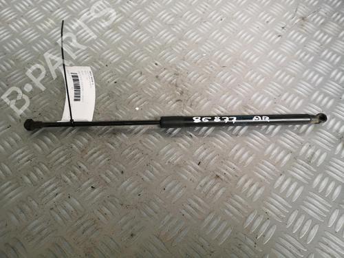 Used Tailgate lift support AUDI A3 Sportback (8PA) 1.6 (102 hp) 17162870