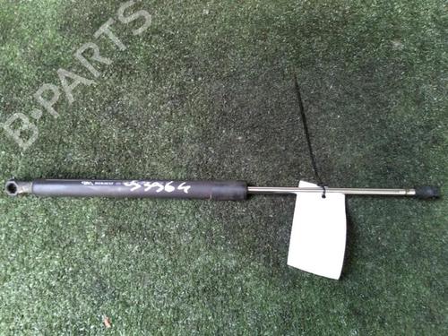 Tailgate lift support RENAULT CLIO III (BR0/1, CR0/1) 1.5 dCi (BR17, CR17) | BP30073311C138