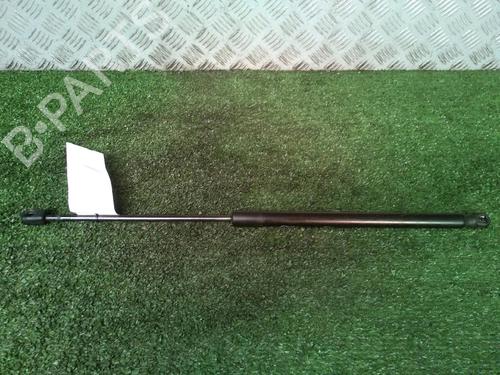 Tailgate lift support FORD FIESTA VI (CB1, CCN) 1.6 TDCi | BP17161736C138 