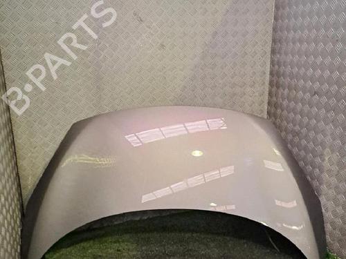 Motorhjelm RENAULT SCÉNIC III (JZ0/1_) 1.5 dCi (110 hp) 30077477