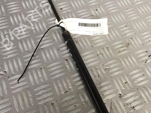 tailgate-lift-support-fiat-punto-evo-199_-2008-30069118 main image