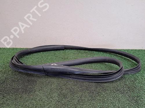 Used Rubber door seal RENAULT TWINGO II (CN0_) 1.5 dCi 75 (75 hp) 29949112