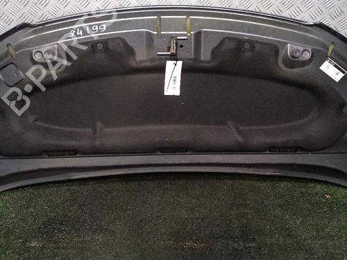 hood-citroen-c3-picasso-sh_-2008-29951675 main image