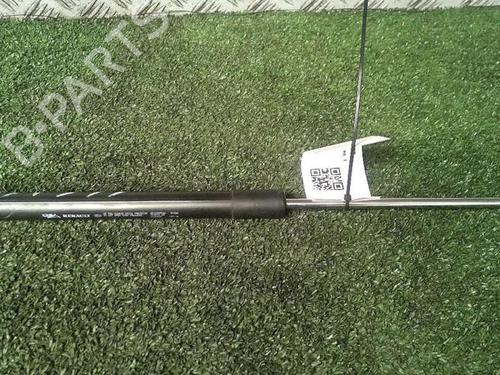 tailgate-lift-support-renault-clio-iii-br01-cr01-2005-2006-2007-2008-2009-2010-2011-2012-2013-2014-29952586 main image