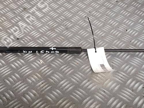 Gasdæmper bagklap SUZUKI SWIFT IV (FZ, NZ) 1.2 (AZH412, ZC72S) (94 hp) 30065044