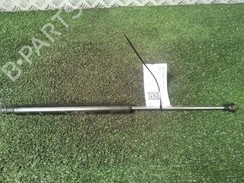 Used Tailgate lift support RENAULT CLIO III (BR0/1, CR0/1) 1.6 16V (BR05, BR0B, BR0Y, BR15, BR1J, BR1M, BR1Y, CR0B,... (112 hp) 18123145