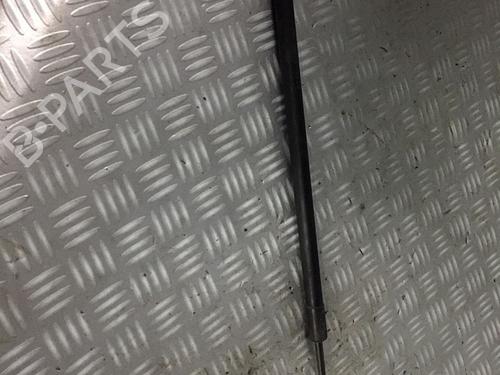 Gasdæmper bagklap NISSAN NOTE (E11, NE11) 1.5 dCi (86 hp) 29952333