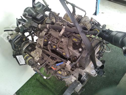 Engine FIAT 500X (334_) 1.4 (334AXC1B, 334AXC11) | BP31627479M1
