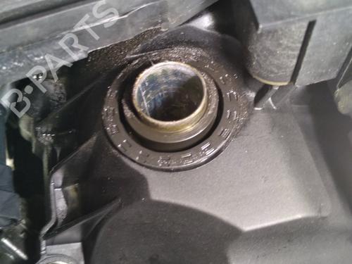 Engine RENAULT TWINGO II (CN0_) 1.2 16V (CN04, CN0B) | BP31888277M1