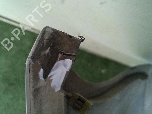 Front bumper RENAULT MEGANE II (BM0/1_, CM0/1_) 1.9 dCi (BM0G, CM0G) | BP29952982C7