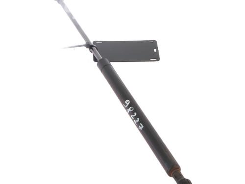 Gasdæmper bagklap FIAT PANDA (169_) 1.1 (169.AXA1A) (54 hp) 30542154