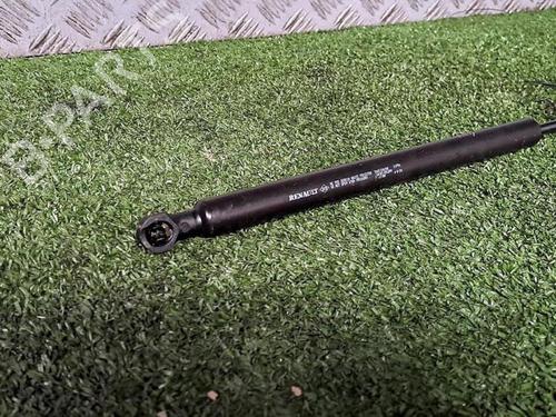 Tailgate lift support RENAULT TWINGO III (BCM_, BCA_) 0.9 TCe 95 | BP29953162C138 