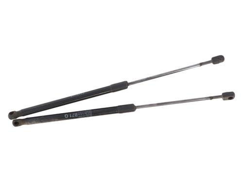 tailgate-lift-support-citroen-c4-ii-nc_-2009-38101660 main image