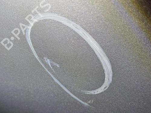 Left front door PEUGEOT 207 (WA_, WC_) 1.6 HDi | BP29953070C2 