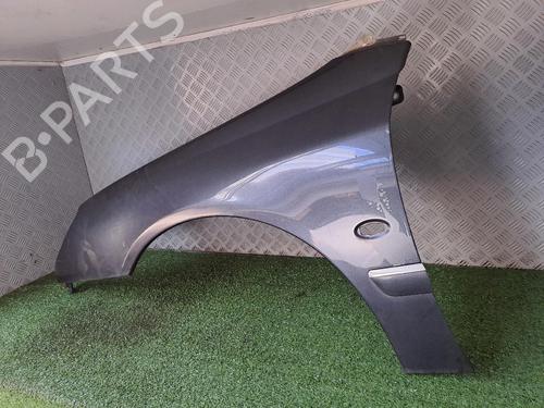 Left front fenders PEUGEOT 607 (9D, 9U) 2.7 HDi 24V | BP20163487C41 