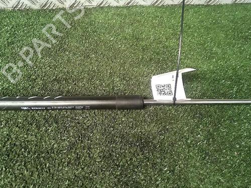 Used Tailgate lift support RENAULT CLIO III (BR0/1, CR0/1) 1.5 dCi (BR17, CR17) (86 hp) 29952586