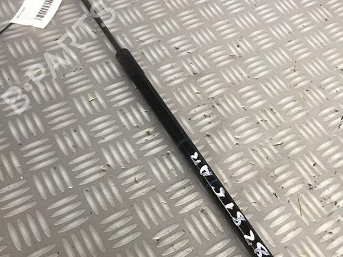 Gasdæmper bagklap RENAULT MEGANE III Coupe (DZ0/1_) 1.5 dCi (95 hp) 30069107