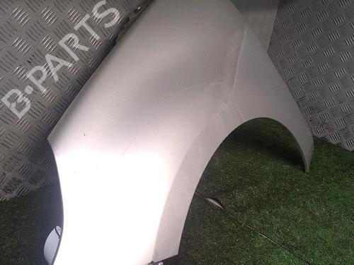 Guarda-lamas esquerdo RENAULT SCÉNIC III (JZ0/1_) 1.5 dCi (106 hp) 30073299