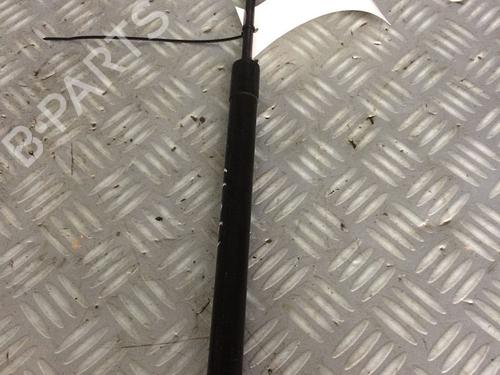 tailgate-lift-support-peugeot-208-i-ca_-cc_-2012-2013-2014-2015-2016-2017-2018-2019-2020-2021-30072450 main image