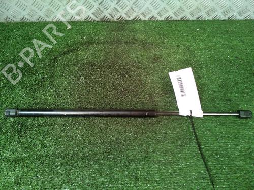 Used Tailgate lift support RENAULT SCÉNIC II (JM0/1_) 1.5 dCi (JM1E, JM16) (106 hp) 17160459