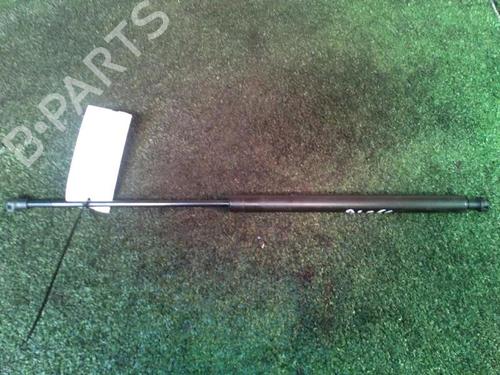 Tailgate lift support PEUGEOT 206 Hatchback (2A/C) 1.6 16V | BP30073749C138