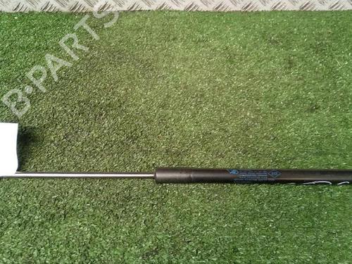 Tailgate lift support DACIA SANDERO 1.5 dCi | BP29952432C138 