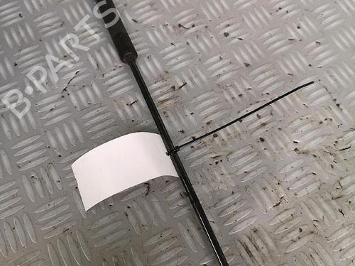 Tailgate lift support CITROËN C4 Coupe (LA_) 2.0 HDi | BP30072455C138