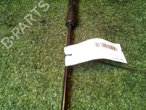 Tailgate lift support MERCEDES-BENZ B-CLASS Sports Tourer (W245) B 200 CDI (245.208) | BP17163026C138 