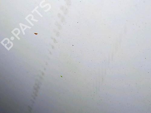 Hood CITROËN BERLINGO / BERLINGO FIRST Box Body/MPV (M_) 1.6 HDI 75 (MB9HW) | BP30076890C1