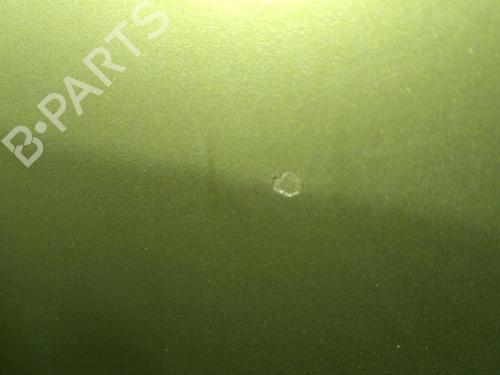 Right front door RENAULT MEGANE II (BM0/1_, CM0/1_) 1.6 16V (BM0C, CM0C) | BP19391169C3 