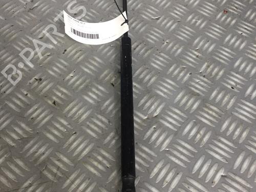 Used Tailgate lift support RENAULT MEGANE II Coupé-Cabriolet (EM0/1_) 1.9 dCi (120 hp) 14545999