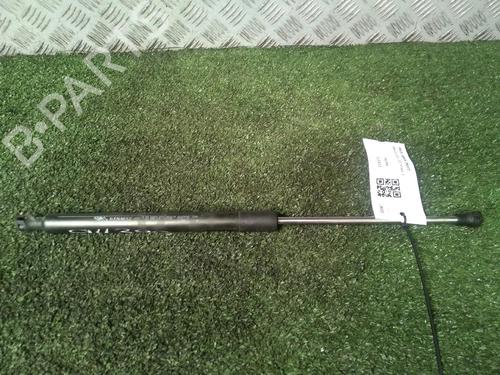 Used Tailgate lift support RENAULT CLIO III (BR0/1, CR0/1) 1.5 dCi (BR17, CR17) (86 hp) 18076902