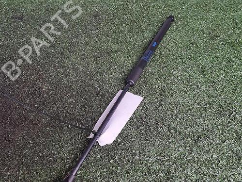 Gasdæmper bagklap CITROËN C1 II (PA_, PS_) 1.0 VTi 68 (69 hp) 30063443