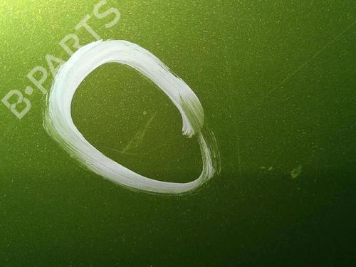 Left front door PEUGEOT 1007 (KM_) 1.4 HDi | BP30076553C2