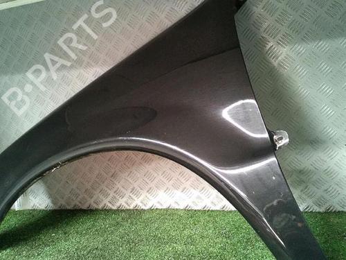 Left front fenders MERCEDES-BENZ M-CLASS (W163) ML 270 CDI (163.113) | BP29952629C41 