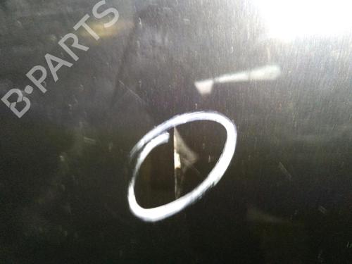 Left front door PEUGEOT 206 CC (2D) 1.6 16V (2DNFUF, 2DNFUR) | BP20088093C2 