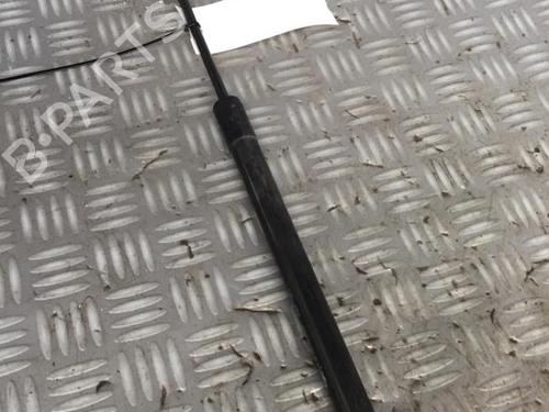 Used Tailgate lift support Tailgate lift support PEUGEOT 308 II (LB_, LP_, LW_, LH_, L3_) 1.6 HDi 100 (99 hp) 30072546 30072546