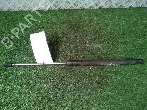 Tailgate lift support RENAULT CLIO III (BR0/1, CR0/1) 1.5 dCi (C/BR0G, C/BR1G) | BP17161910C138 