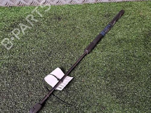 Tailgate lift support CITROËN DS4 (NX_) 1.6 THP 200 | BP30077180C138 