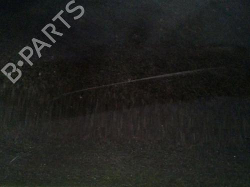 Left front door PEUGEOT 208 I (CA_, CC_) 1.6 BlueHDi 100 | BP30067832C2 