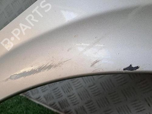 Right front fenders RENAULT MEGANE II (BM0/1_, CM0/1_) 1.5 dCi (BM1F, CM1F) | BP30076771C42