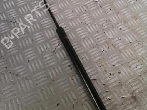 tailgate-lift-support-dacia-logan-mcv-ii-2013-30072516 main image