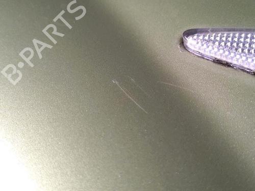 Left front fenders RENAULT MEGANE II (BM0/1_, CM0/1_) 1.6 16V (BM0C, CM0C) | BP29952948C41